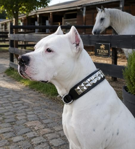 Hundehalsband Titan Lederhalsband Leder Schwarz Nieten Hohe Zugkraft Extra Breit Halsband Hund (XL)