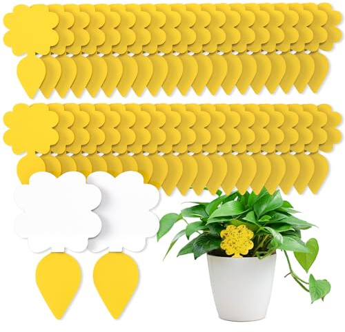 Wyewye 60 PCS Fruit Fly Traps, Double-sided Sticky Catcher for Fungus Gnats & Multiple Insects, Eco-Friendly Indoor Plant Fly Control to Protect Fruits & Vegetables