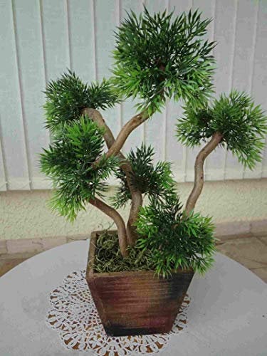 Generisch künstlicher Bonsai Lärche