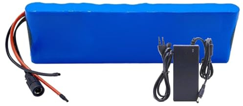 Batterie Lithium-ION 24V 15Ah pour Vélo Électrique avec Chargeur Intégré Et Protection BMS, Batterie Lithium-ION Étanche 6S2P pour Vélo Électrique