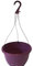 The Flowerpot Men 27CM PLASTIC HANGING POTS BASKETS PLANTERS (x5, Purple)