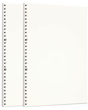 Zelten Loose Leaf Punched Paper Refills Paper for 6 Hole Binder Personal Organizer Diary Notebook Refillable Planner (Sketch,A4/30 Hole)