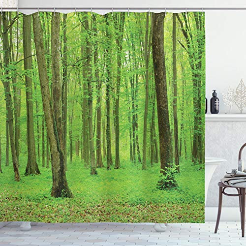 ABAKUHAUS Frühling Duschvorhang, Wald in einem sonnigen Tag, Stoffliches Gewebe Badezimmerdekorationsset mit Haken, 175 x 220 cm, Grün Braun