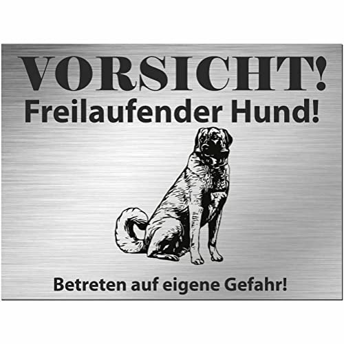 Indigos UG - Schild Kangal Hirtenhund - bedruckt - Vorsicht Freilaufender Hund - Aluverbundplatte Edelstahl Look - 30x20 cm - Spruch - Deko Geschenkidee für Ihren Hund - Zaun - Türschild