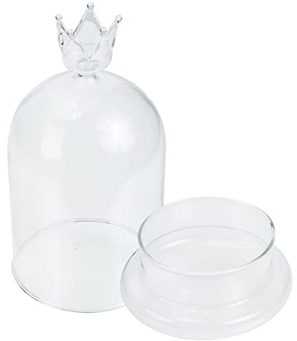 NOLITOY Cúpula De Cristal Transparente con Base De Cristal Campana Antigua Cúpula De Exhibición para Plantas Suculentas Luces De Hadas Fotos Medallas