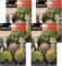 Semillas de cactus variados Semillas Batlle PACK (4)