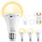 E27 LED Glühbirne mit Batterie Fernbedienung, Dimmbar LED Akku Lampen (3000K/4000K/6500K), 2600mAh Outdoor Lampe, Timer Leuchtmittel Sockel&USB Rechargeable Dual-Purpose Für Tischlampe/Camping