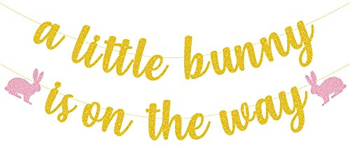 Partydekoration mit Hasen-Motiv A Little Bunny Is On The Way, Banner für Frühling, Ostern, für Babys, Mädchen, Geschlechtsoffenbarung, Partyzubehör