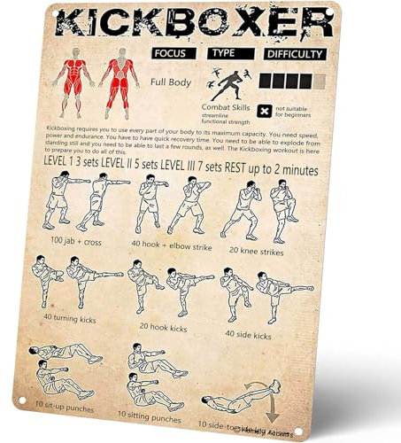 Homely Accents Coole Kickboxer-Metallschilder, Vintage-Boxführer, Blechposter, Retro, Fitnessstudio, Club, Wandkunst, Dekoration, Geschenk für Boxliebhaber, Kampfsport-Enthusiasten, 20,3 x 30,5 cm