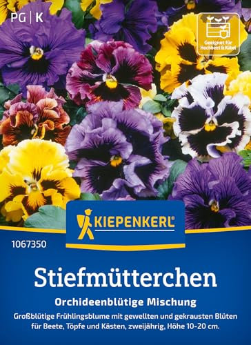 Kiepenkerl Stiefmütterchensamen Orchideenblütige Mischung 1067350 - Winterharte Blumensamen für Beete, Kästen & Töpfe - Wildblumensamen, Blumenwiese