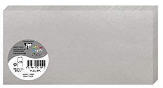 Clairefontaine 22589C - Packung mit 25 Karten Pollen Format DL (10,6x21,3cm), 210g, ideal für Ihre Einladungen und Korrespondenz, Silber, 1 Pack