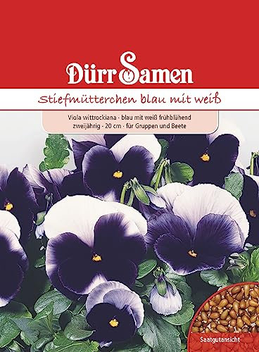 Stiefmütterchen Samen Blau Weiß Stiefmütterchensamen Viola Veilchen ca 120 Korn Saatgut Blumensamen Garten Hochbeet Balkonkasten Kübel Dürr Samen