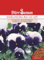Stiefmütterchen Samen Blau Weiß Stiefmütterchensamen Viola Veilchen ca 120 Korn Saatgut Blumensamen Garten Hochbeet Balkonkasten Kübel Dürr Samen