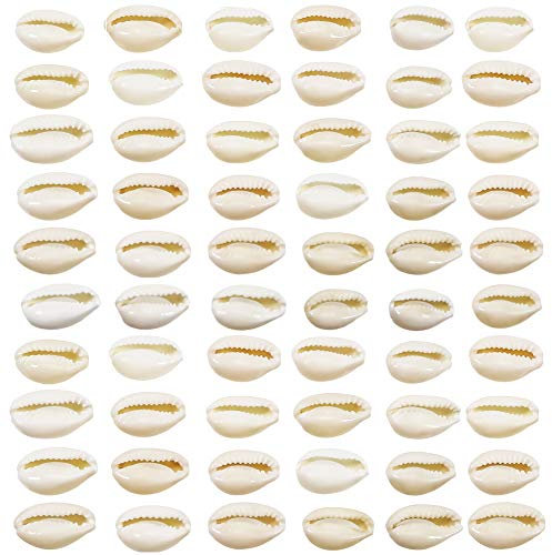 TOAOB 200 Stück Natürlichen Muschel Perlen mit Loch zum Basteln Beige Spirale Kauri Muscheln Bastelnmuscheln 15 bis 17mm für DIY Schmuck Machen oder Deco Handwerk