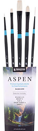 PRINCETON ARTIST BRUSH CO. Aspen 6500 5pc Professional Paint Brushes - Synthetic Oil, Acrylic & Gouache Brush Set - Round, Black