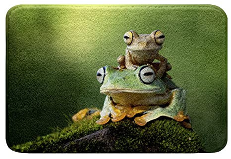 Loussiesd Frosch Badematte 40x60cm für Haus Heim Dekor Strapazierfähiger Inneneinstieg Badezimmerteppich Willkommen Fußmatte 3D Tropische Frösche Eingang Badteppiche Grün Natur Zotteliger Badvorleger