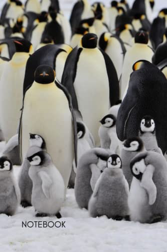 Penguin Notebook: A Great Gift for Anyone who Loves Penguins