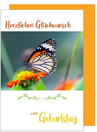 Edition Seidel Premium Geburtstagskarte mit Umschlag. Glückwunschkarte Grusskarte Billet Karte Happy Birthday Mann Frau Kind Herzlichen Glückwunsch Schmetterling Blume (G3130 SW023)