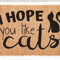 MIAOMANSENSTORE Door mat indoor I Hope You Like Cats Quote Doormat, Cat Lovers Home Decorative Welcome Doormat Home Decor