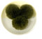 30 Stück 5cm Pompons Kunstfell Bommel Farbiger Fellknäuel mit Elastischer Schlaufe für DIY Basteln Weihnachtsdekoration Tischdekoration Geburtstagsdeko Kleideraccessoires,Armeegrün