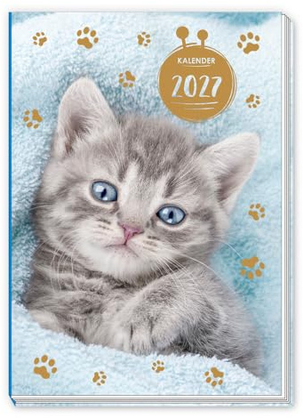 Trötsch Taschenkalender A7 Katze 2027: Mini-Terminkalender