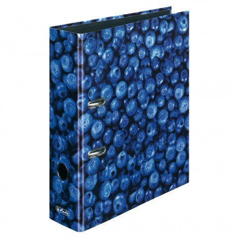 Motivordner diverse Motive zur Auswahl Ordner maX.file A4 Innenspiegel sw Rückenbreite 8 cm (10, Blaubeere)