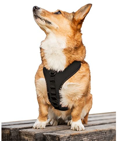 K9 Sport Sack Hundegeschirr, bestickt, Größe M, Anthrazit/Schwarz