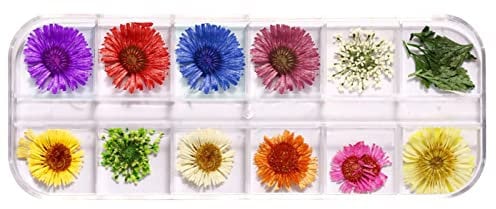 24Pcs For Resin Art 3D Dry Flowers For Nails Pressed Real Natural Flower Art Decor