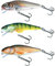 Salmo Perch Wobbler Jerkbaits für Hecht, Zander, Barsch, Hechtköder, Hechtwobbler, Forellenwobbler, Barschwobbler 12cm / 36g / schwimmend / 2.0-4.0m Perch