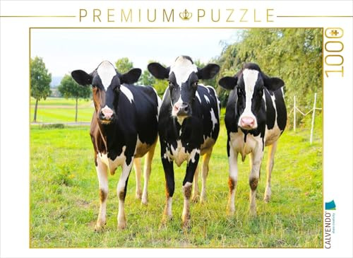 CALVENDO Puzzle Die DREI von der Tankstelle - Bina, Prinzessin Hannah & Becky | 1000 Teile Lege-Größe 64 x 48 cm Foto-Puzzle für glückliche Stunden