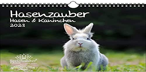 Hasenzauber Hasen und Kaninchen DIN A4 Kalender für 2023 - Seelenzauber, mehrfarbig, KN2023-4W-0027-D-0