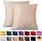 Emilie-Textil 2er Set SAMT Kissenbezug, Decorative Kissenhülle, Sofakissenbezug mit Verstecktem Reißverschluss, 14, Größen 40X40 / 45X45 / 50X50cm (2, Creme, 40X40)