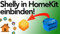 Shelly 1 homekit Compatibile con firmware by Passionedomotica WiFi Apple casa