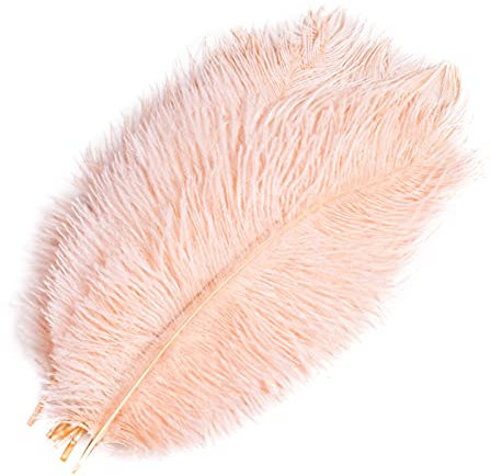 HQdeal Natürliche Straußenfedern, 20-25cm, Naturfedern, Natürliche Handwerksfedern für DIY Handwerk Hochzeit Geburtstag Festival Hausparty Deko (Champagner)