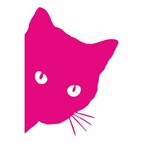 AMA SHOP Adesivo in PVC Prespaziato Gatto Fucsia fluo che si illumina al buio | Adesivi per Auto | Sticker per Casco, Moto, Camper | Auto tuning
