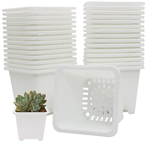 GGOUPTY Plastic Square Plant Pots 4 Inch 30 Pcs Succulent Planter Nursery Pots with Reinforced Rim for Flower Staring Seedling