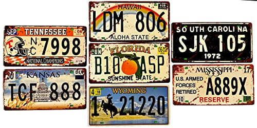 DiiliHiiri Lot de 7 Plaques d'Immatriculation de Voiture Américaines Vintage Rétro Plaques USA Décoration pour Bar Café Grotte Homme Garage ou Atelier - 15 x 30 cm (2651-3-4-8-11-19-25-27)
