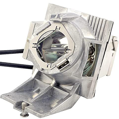 HOSECES Ampoule de rechange 5J.JHN05.001 5J.JNL05.001 5J.JHH05.001 avec boîtier pour BENQ HT2650i TK700STi W1800i TK700 TK700ST W1800 W1800i TK800 HT25500 W172 0 MH550 MU607 MU641