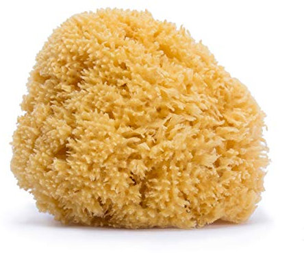 Suavinex, Grande éponge naturelle