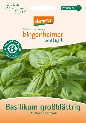 Basilikum großblättrig