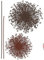 Komar Deco-Sticker | PUSTEBLUME | 50 x 70 cm | Wandtattoo, Wandbild, Wandsticker, Wandaufkleber, Walltattoo, Silhouette, Abstrakt, Floral, Blume, Design- 17004h