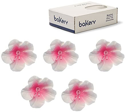 Decora 0500174 Confezione da 12 Azalea Bianco Con Centro Rosa