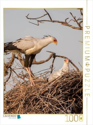 CALVENDO Puzzle Sekretär beim Nisten | 1000 Teile Lege-Größe 48 x 64 cm Foto-Puzzle für glückliche Stunden