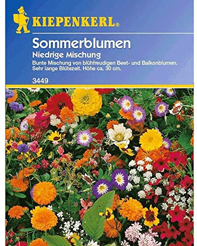 Niedriger Sommerblumen-Mix, 1 Tüte Samen