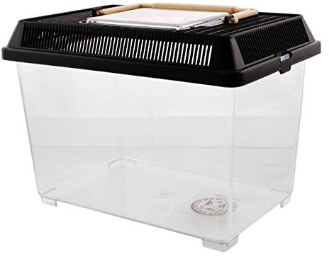 pet-plaza Faunarium en plastique Small – 23 x 15 x 16 cm – env. Volume 3,3 L