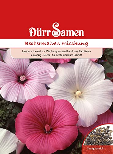 Dürr-Samen - Bechermalve Mischung weiß und rosa einjährig 60 cm Saatgut