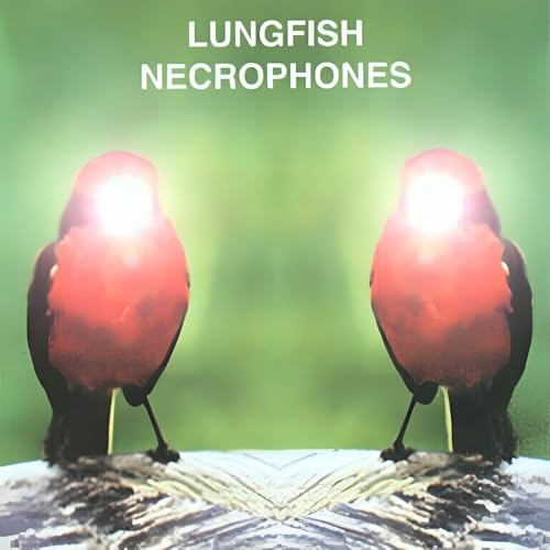 Dischord Records (Galileo Music Communication)