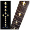 Inlay Sticker Griffbrett Position Marker für Gitarren & Bass - Fleur de Lys - Weiß Perle