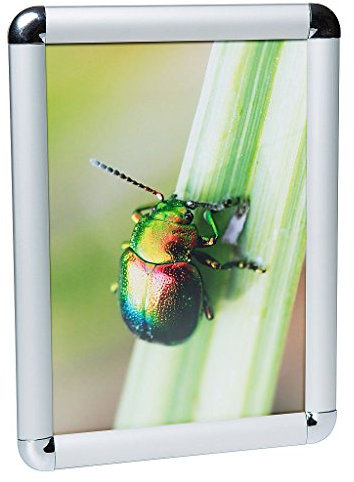 DELIGHT DISPLAYS® Klapprahmen Plakatrahmen Posterrahmen 50x70 Rondo 25 mm Profil Silber eloxiert aus Alu