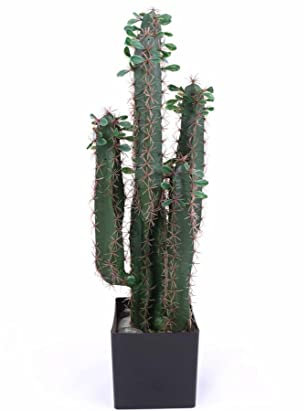 Cactus suculento artificial de 75 cm de alto con 5 brazos en maceta, cactus grande de tres bordes para decoracion